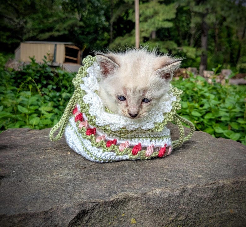 May include: A light-colored kitten with blue eyes peeks out of a handmade crochet bag. The bag is white with green and red floral accents. The kitten is sitting on a large, gray rock, with green foliage in the background.