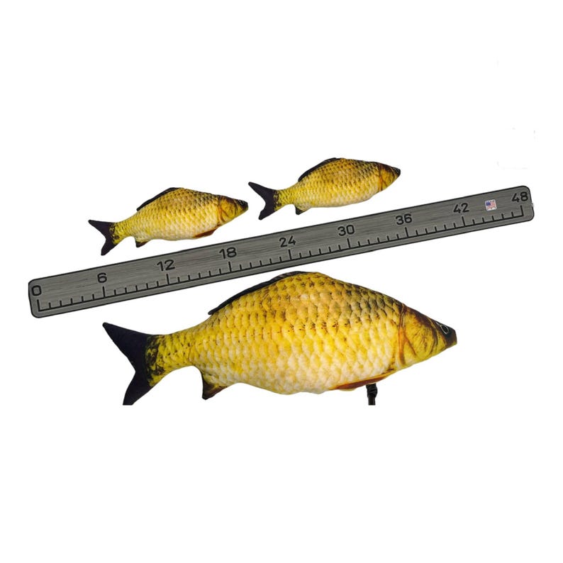 Pu&ograve; includere: Tre pesci giocattolo in peluche con motivi a scaglie gialle e marroni e pinne nere. Un righello grigio &egrave; posizionato dietro i pesci, mostrando che il pi&ugrave; grande misura circa 30 cm di lunghezza, mentre i due pi&ugrave; piccoli misurano 15 cm.