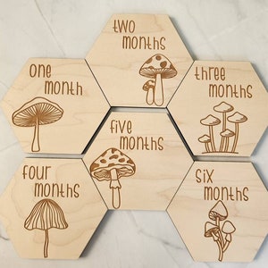 Baby Monthly Milestone Markers, Mushroom Milestone Disc, Baby Photo Props, Woodland Nursery Decor, Baby's First Year, 1-12 Month Hexagon