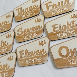 Baby Monthly Milestone Markers, Wood Milestone Disc, Baby Photo Props, Baby Milestone Blocks, Mountain Baby's First Year, National Park Baby