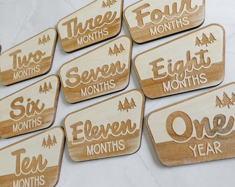 Baby Monthly Milestone Markers, Wood Milestone Disc, Baby Photo Props, Baby Milestone Blocks, Mountain Baby's First Year, National Park Baby
