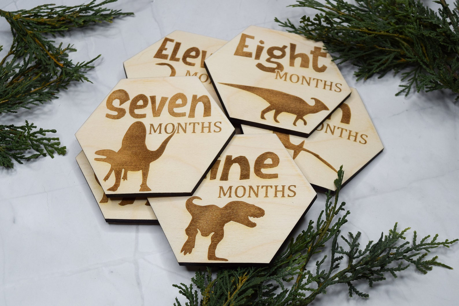 Baby Monthly Milestone Markers, Dinosaur Milestone Hexagons, Baby Photo ...