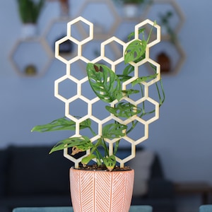 Honeycomb Trellis, Plant Pot Trellis, Plant Lover Gift, Vining Plant Holder, Plant Accessories, Wooden Trellis, Geometric Hexagon Trellis