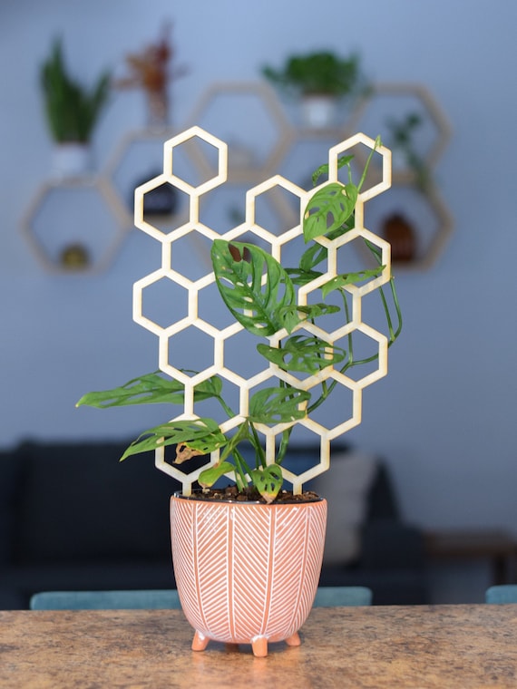 Honeycomb Trellis, Plant Pot Trellis, Plant Lover Gift, Vining Plant  Holder, Plant Accessories, Wooden Trellis, Geometric Hexagon Trellis - Etsy  Israel