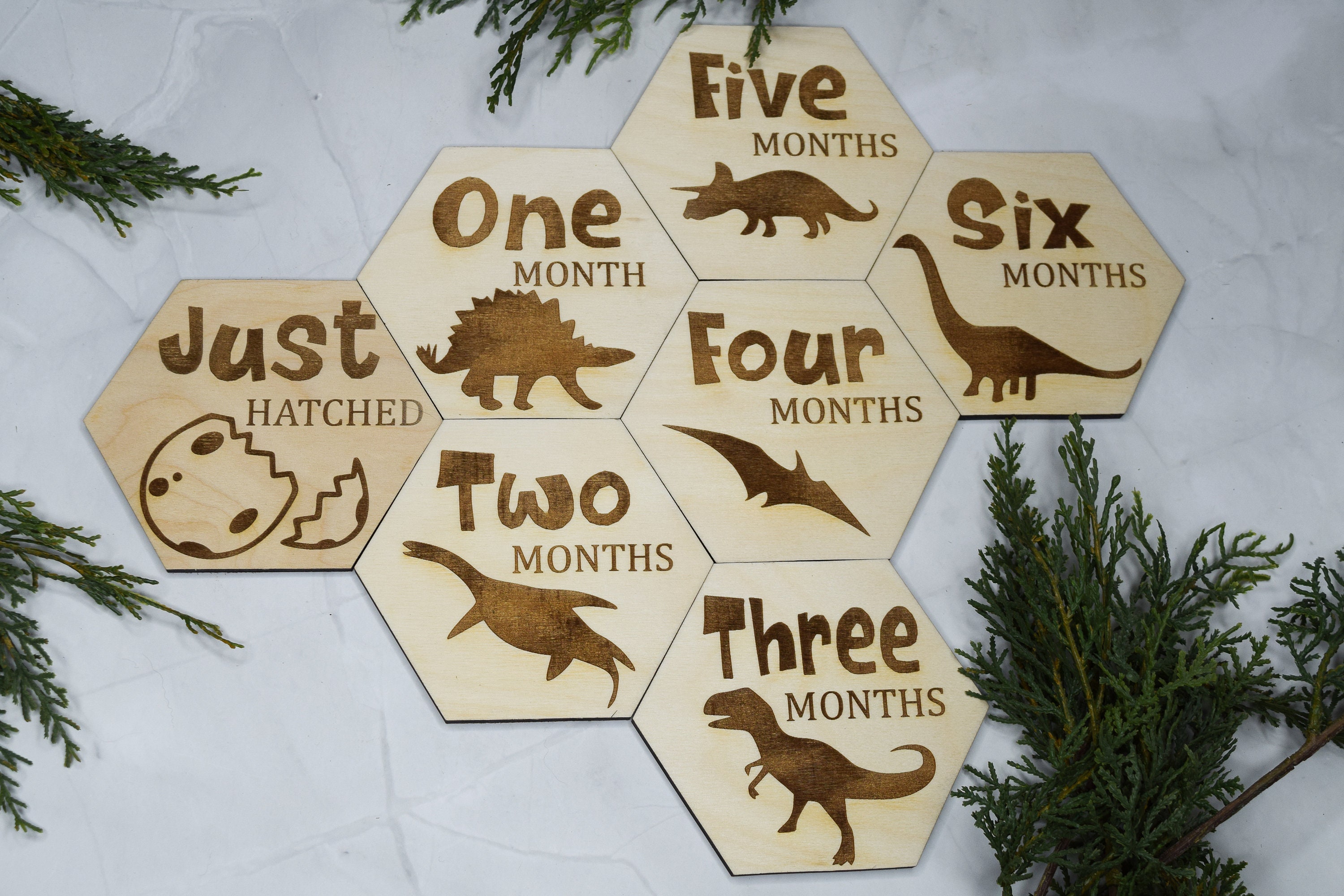 Baby Monthly Milestone Markers, Dinosaur Milestone Hexagons, Baby Photo ...