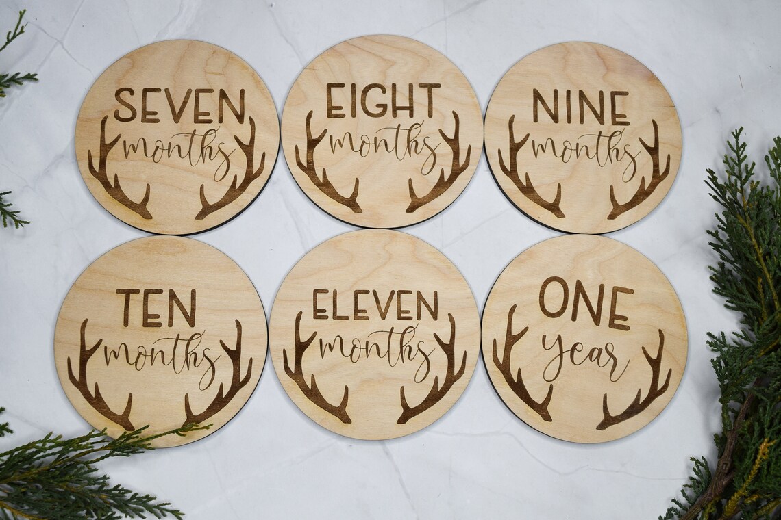 Baby Monthly Milestone Markers, Wood Milestone Disc, Baby Photo Props ...