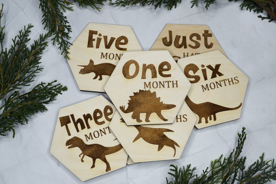 Baby Monthly Milestone Markers, Dinosaur Milestone Hexagons, Baby Photo ...