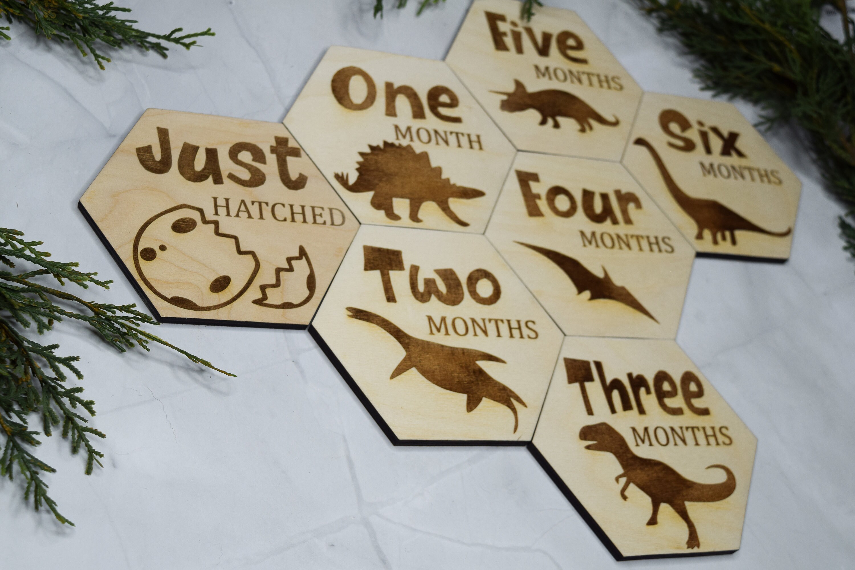 Baby Monthly Milestone Markers, Dinosaur Milestone Hexagons, Baby Photo ...