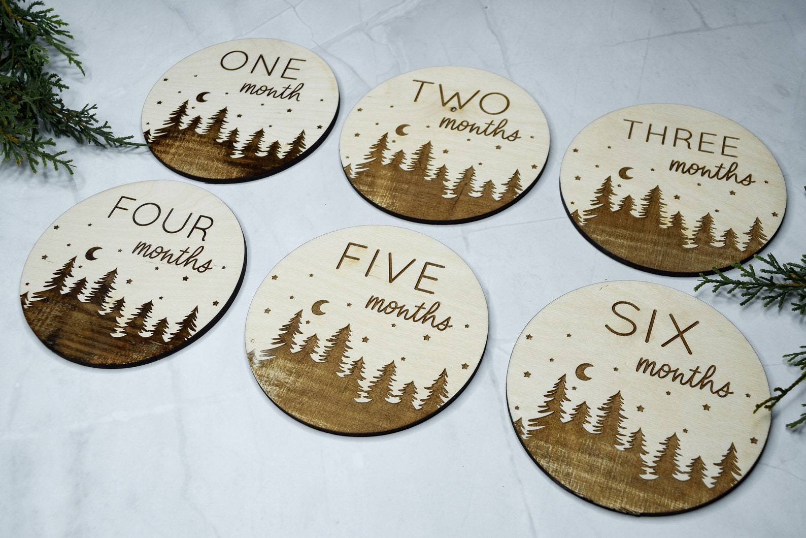 Baby Monthly Milestone Markers, Wood Milestone Disc, Baby Photo Props ...