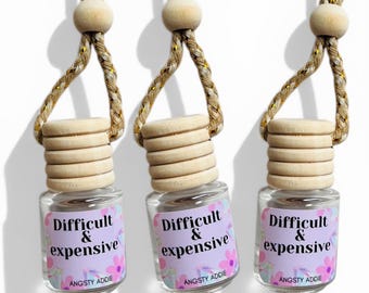Funny car air freshener, Scented car diffuser, hanging air freshener, car accessories for women