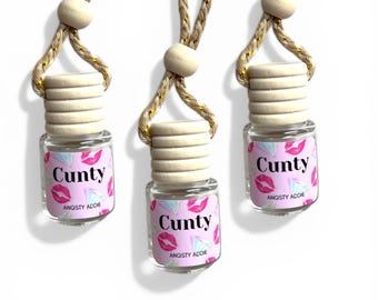 Funny car air freshener, Scented car diffuser, hanging air freshener, car accessories for women
