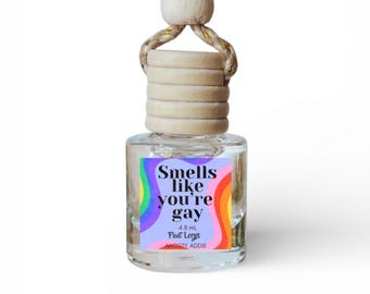 Funny car air freshener, Scented car diffuser, hanging air freshener, pride gift