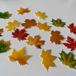 Essbare Herbst-Ahornblätter - Vorgeschnittene Oblaten-Topper für Herbst-, Ernte- und Erntedank-Tortendekoration - 4 cm breit