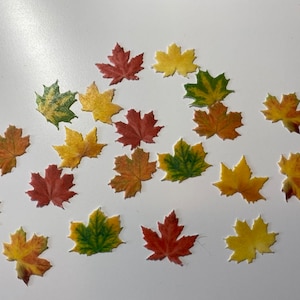 May include: Assortment of autumn-themed maple leaves in various shades of yellow, orange, red, and green. The leaves are made of fondant and are perfect for decorating cakes or cupcakes.