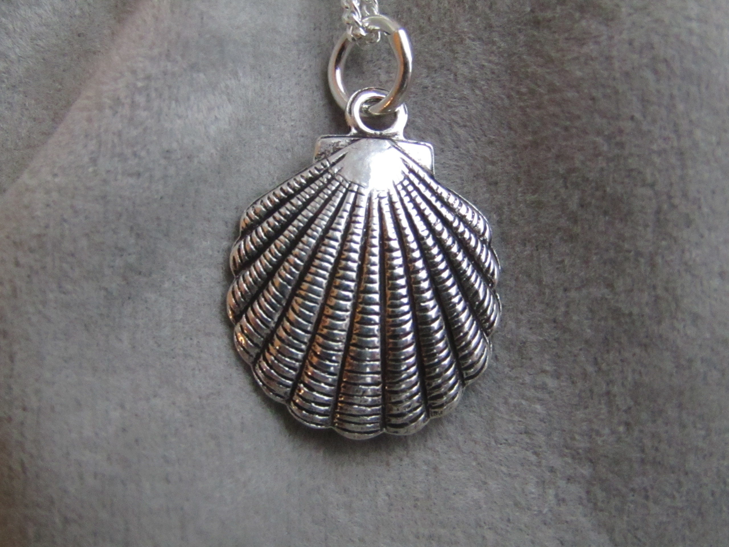 Sterling Silver Shell necklace with 18 inch curb chain Camino Etsy