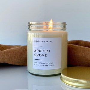 Apricot Grove Soy Candle, 8 oz Candle, Summer Peach Scented Candle, Spring Home Fragrance, Gift for Friend, Gift for Women