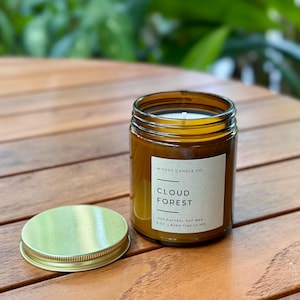 Cloud Forest Soy Candle, Rainforest Petrichor Scent, 8 oz Candle image 6