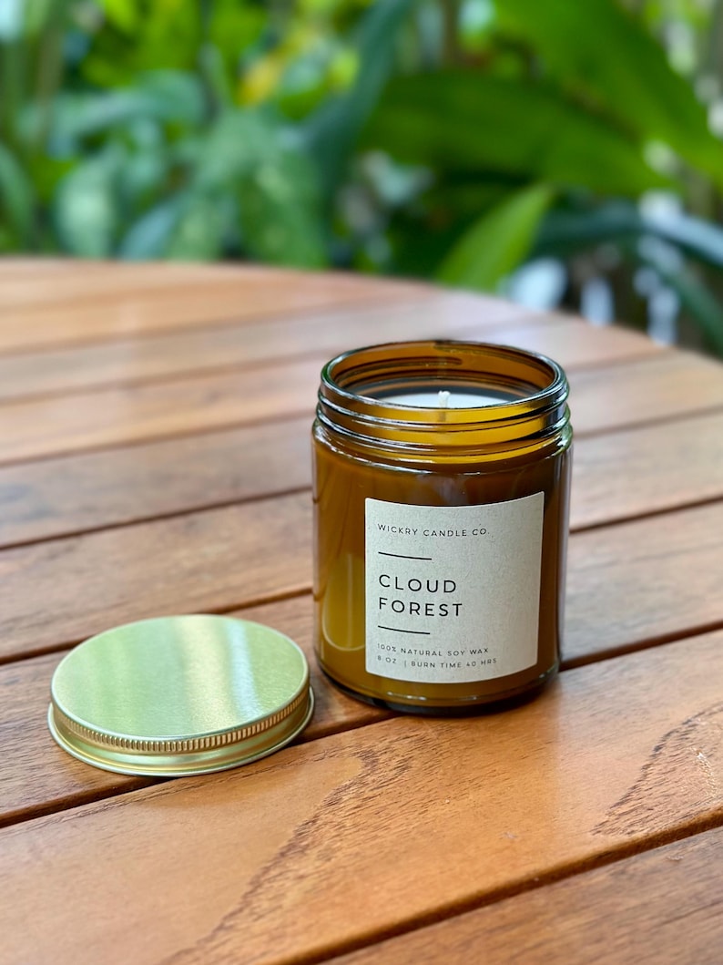 Cloud Forest Soy Candle, Rainforest Petrichor Scent, 8 oz Candle image 6