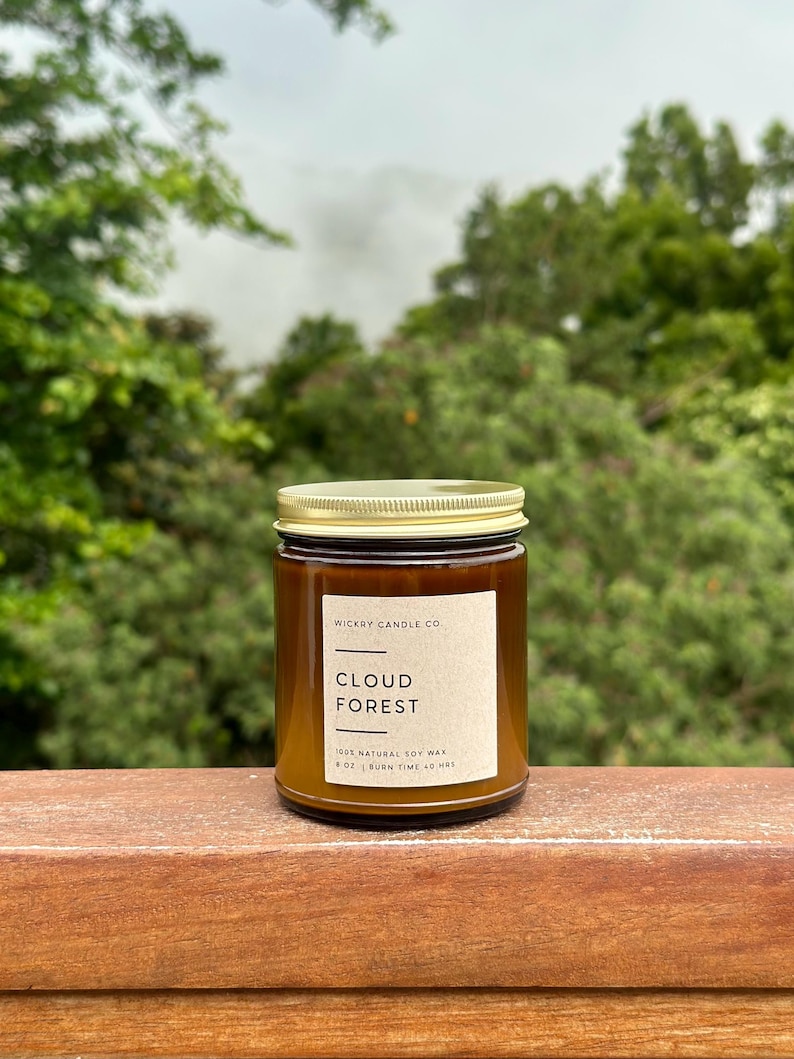 Cloud Forest Soy Candle, Rainforest Petrichor Scent, 8 oz Candle image 1