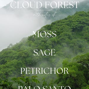 Cloud Forest Soy Candle, Rainforest Petrichor Scent, 8 oz Candle image 7