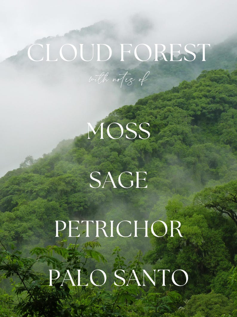 Cloud Forest Soy Candle, Rainforest Petrichor Scent, 8 oz Candle image 7