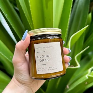 May include: A glass jar candle with a gold lid, labeled "Cloud Forest." The label also states "100% Natural Soy Wax" and "8 oz | Burn Time 40 hrs." The candle is held in front of green foliage.