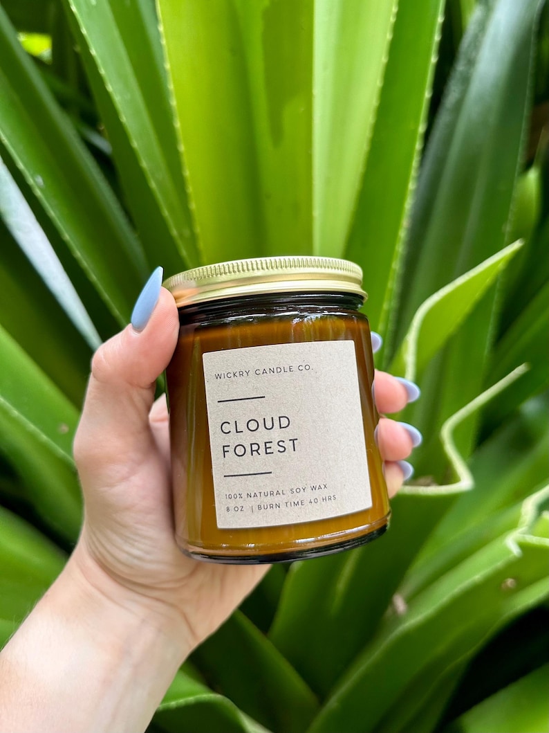 May include: A glass jar candle with a gold lid, labeled "Cloud Forest." The label also states "100% Natural Soy Wax" and "8 oz | Burn Time 40 hrs." The candle is held in front of green foliage.
