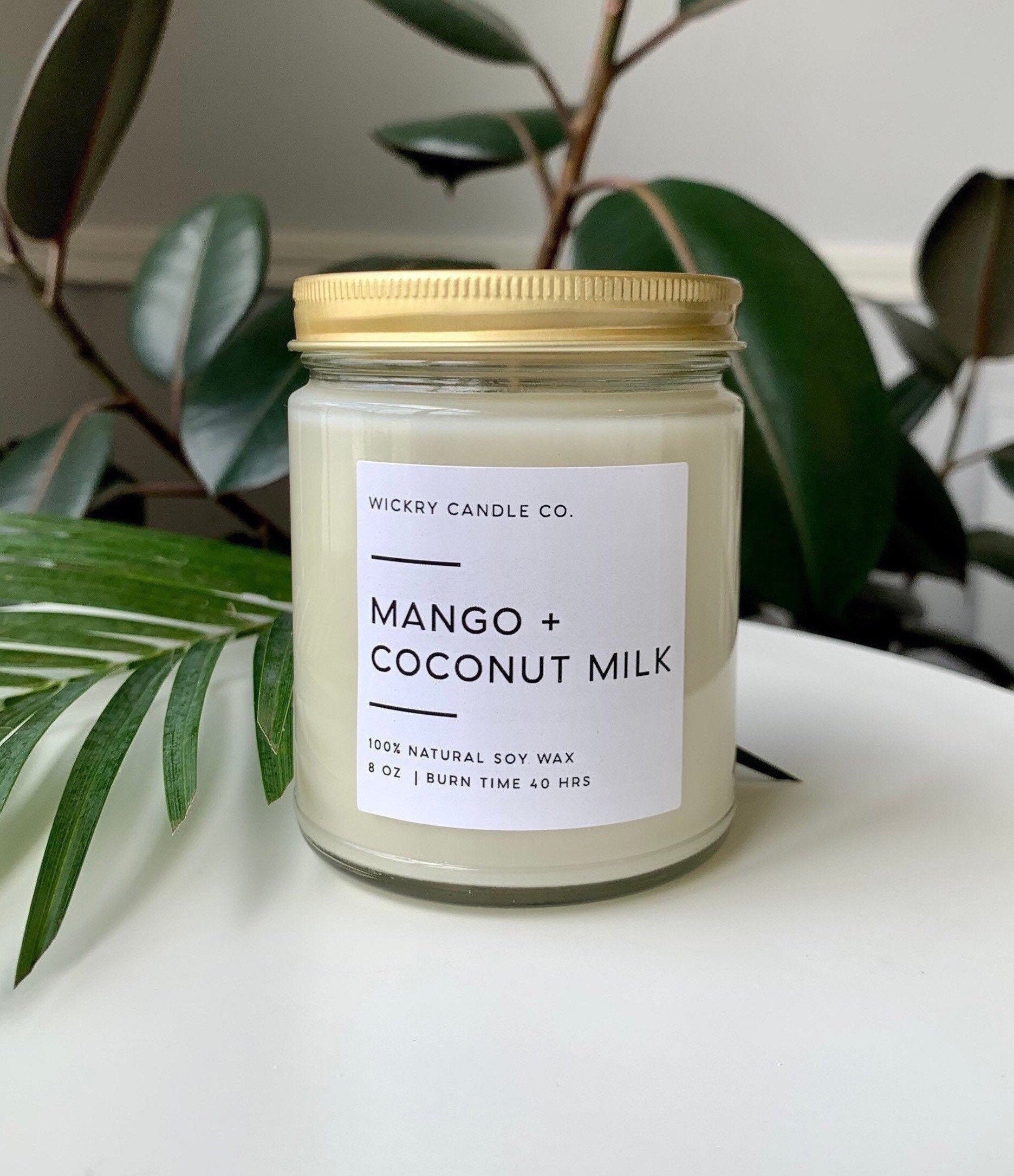 Mango and Coconut Milk Soy Candle 8 oz Candle in Jar Summer Etsy