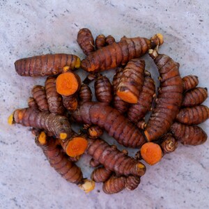 Turmeric Root (Organic) - Picked and Shipped Same Day