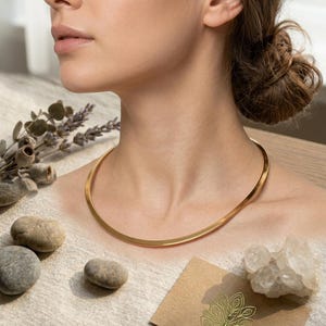 May include: A gold-colored collar necklace. The necklace is a simple, curved band that sits close to the neck. The image also includes a small card with a peacock design and the text "BeyRoya Jewelry".