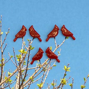 May include: Six red cardinal bird ornaments perched on tree branches with green leaves against a blue sky. The birds are a deep red color and appear to be made of a glossy material. The branches are thin and brown.