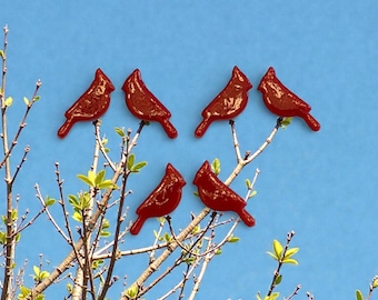 COE 90-96 Cardinals .6”