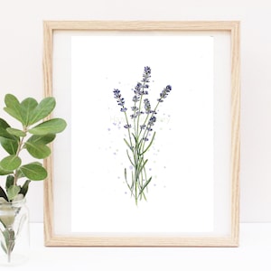 K&ouml;nnte beinhalten: Ein gerahmtes Aquarellbild eines Strau&szlig;es Lavendelbl&uuml;ten mit wei&szlig;em Hintergrund und hellvioletten Aquarellspritzer.