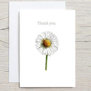 Carte de remerciement, carte de marguerite, carte de remerciement marguerite, carte de gratitude, carte de remerciement fleur