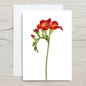 Carte de freesia, illustration botanique d'un freesia rouge, peinture de freesia, carte imprimée, carte de fleur rouge