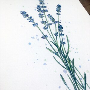 K&ouml;nnte beinhalten: Ein Aquarellbild von Lavendelbl&uuml;ten mit gr&uuml;nen Stielen und blauen und gr&uuml;nen Aquarellspritzer auf wei&szlig;em Hintergrund.
