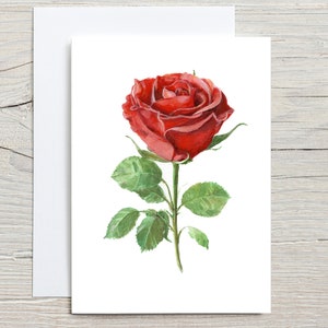 Une seule carte rose rouge, carte d'amour, carte d'anniversaire, carte de la Saint-Valentin, carte rose rouge, cartes de voeux rose rouge, carte d'anniversaire rose rouge