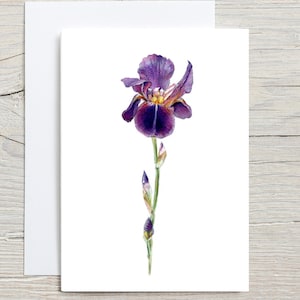 Carte d'iris violet, carte d'anniversaire de fleurs, peintures de fleurs à l'aquarelle, carte d'iris, art botanique, carte botanique