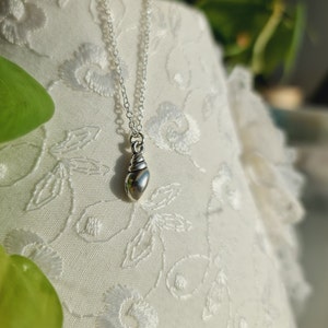 May include: A silver seashell pendant necklace on a white fabric background.