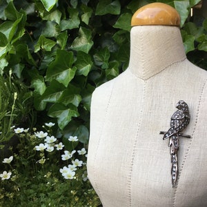 Large Silver Brooch Parrot - inlaid with marcasite