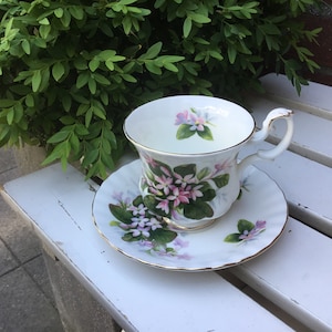 Royal Albert Cup and Saucer for coffee or tea Decor Mayflower Vintage Teaparty, Ca.1970 English High Tea