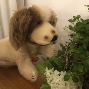 Puede incluir: Un títere de perro de peluche marrón y blanco con un collar rojo, oliendo una planta verde con flores blancas.
