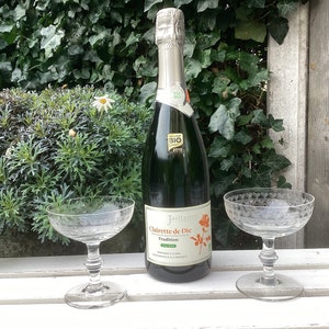 Needle Etched Champagne Coupes - 2 Antique Champagne Glasses with Ornate Motifs, France, ca 1910 - Beautiful Gift for Bride and Groom