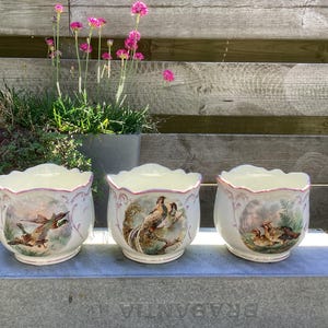 May include: Three antique porcelain planters with scalloped rims and hand-painted wildlife scenes. Each planter features a different image of birds and a fox. The planters are cream-colored with pink trim.