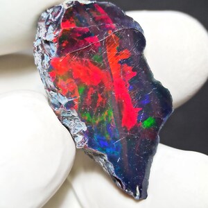 May include: A polished black opal gemstone with vibrant internal colors of red, green, and blue. The opal is held in a gloved hand, showcasing its natural, irregular shape and unique color play.