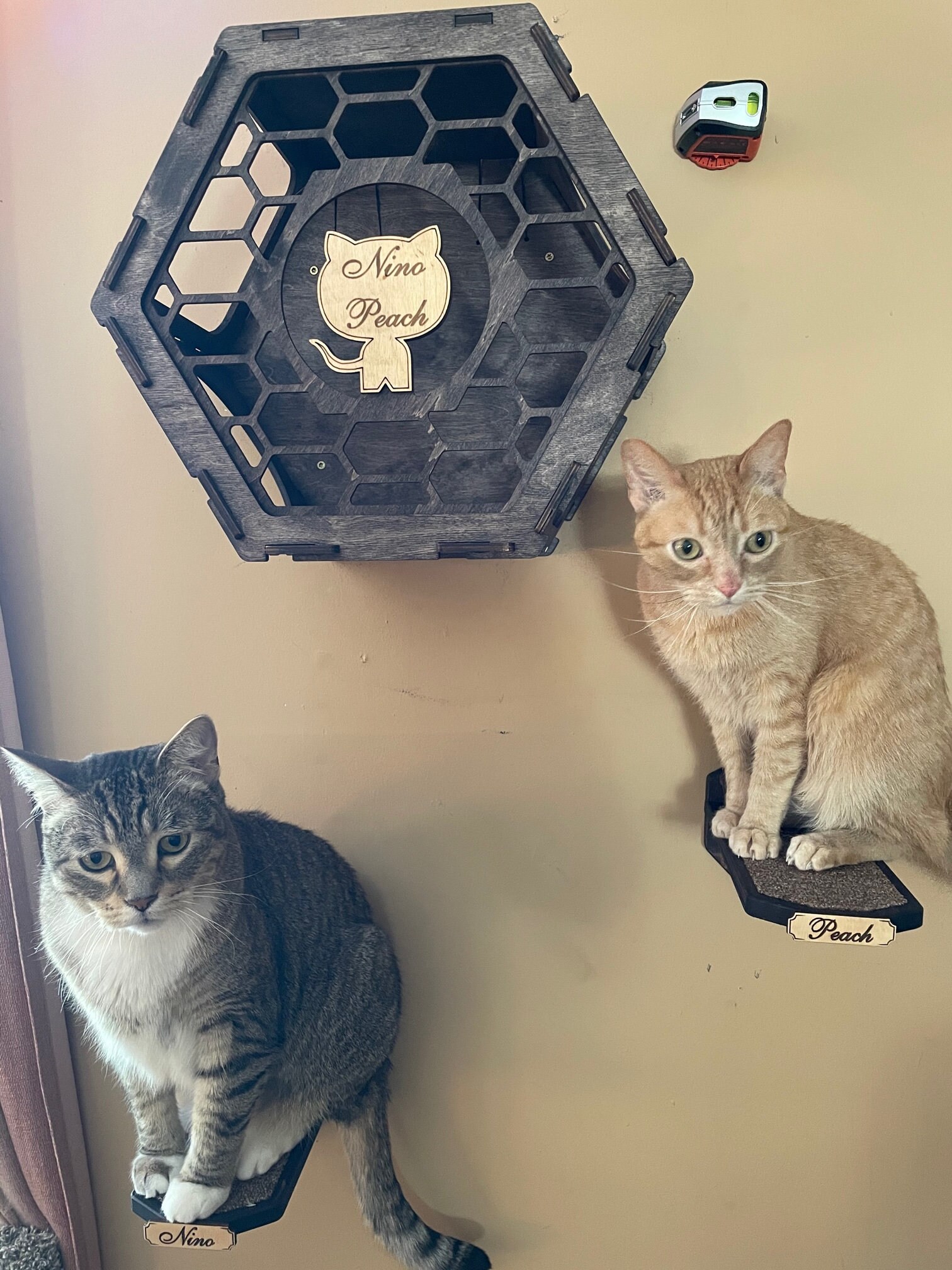 Cat Perch Hexagon Wall Mounted Cat Furniture Hexagon Etsy
