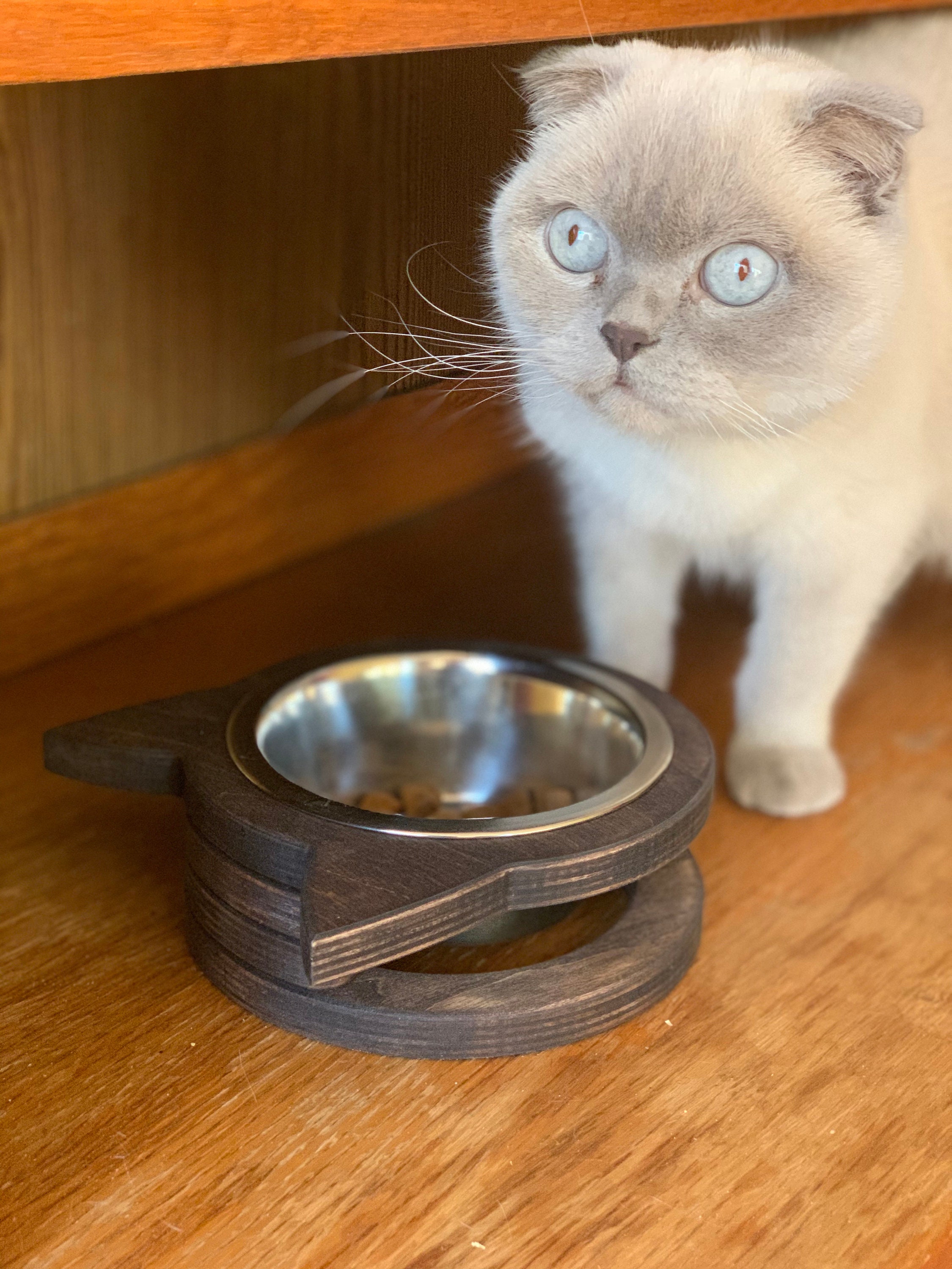 Pet Bowl Water Bowl Cat Food Bowl Pet Bowls Cat Gift Etsy Australia