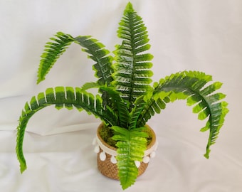 Artificial Fern | Faux House Plants | Artificial Plants | Boston Fern | Ceramic Pot | Pompom Belly pot | Pot with Plant |Indoor Planter