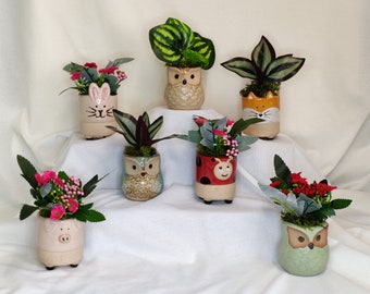 Animal Planters | Set of Faux House Plants | Novelty flower Pot | Fox Planter | Rabbit Pot | Cow Pot | Pig Planter | Ladybird Pot