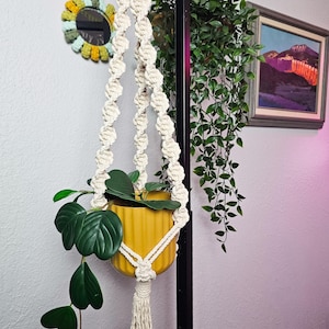 May include: A cream-colored macrame plant hanger featuring a spiral knot pattern and a bottom tassel. The hanger supports a mustard yellow, vertically ribbed ceramic pot containing a green plant with heart-shaped leaves.